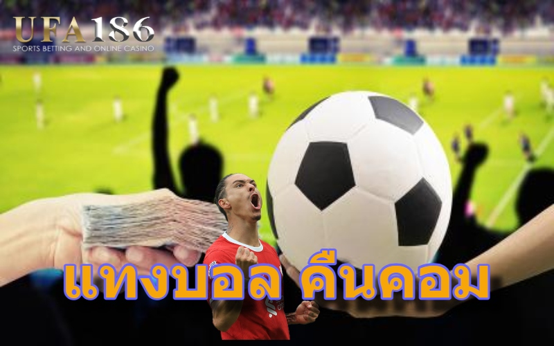 แทงบอล คืนคอม
