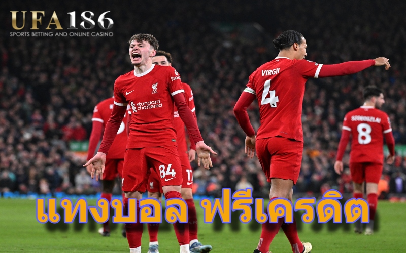 แทงบอล ฟรีเครดิต