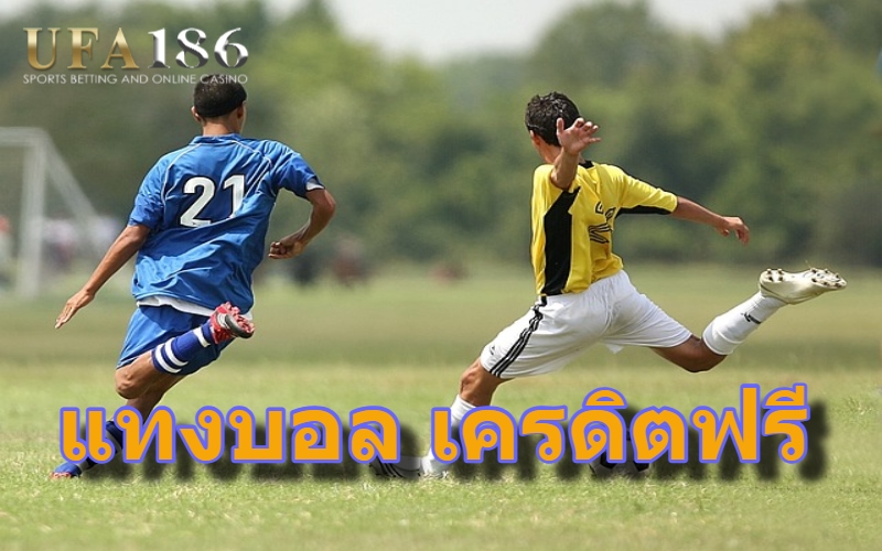 แทงบอล เครดิตฟรี