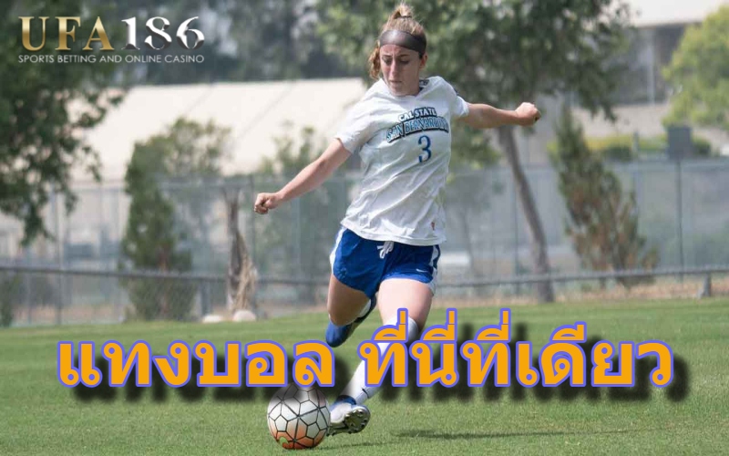 แทงบอล ที่นี่ที่เดียว