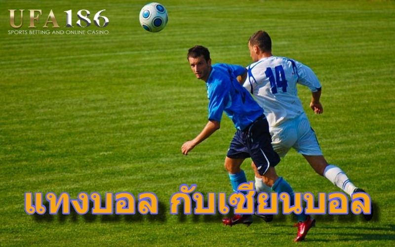 แทงบอล กับเซียนบอล