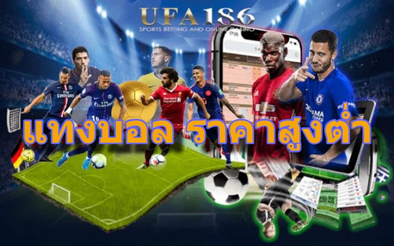 แทงบอล ราคาสูงต่ำ