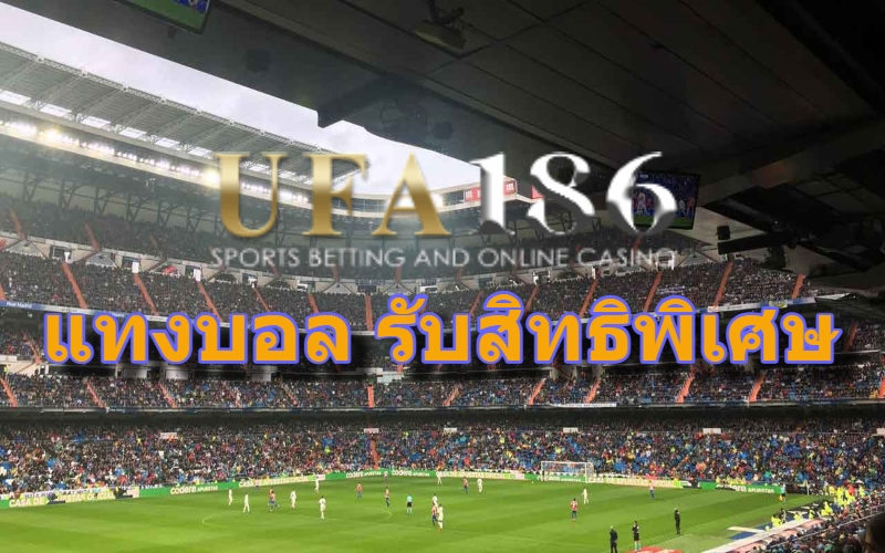 แทงบอล รับสิทธิพิเศษ
