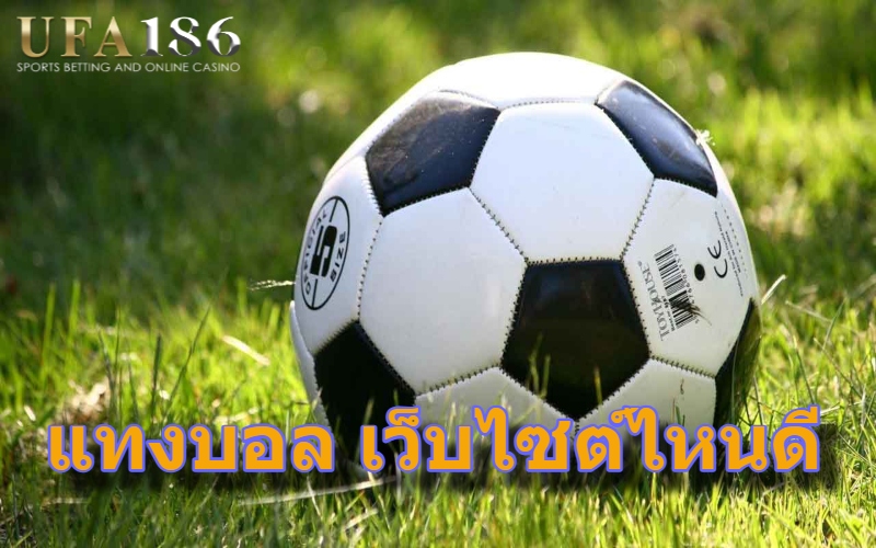 แทงบอล เว็บไซต์ไหนดี